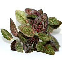 Artificial Plants Bonsai Fake Small Green Plant Plastic Simulation Grass Hotel Office Decoration Greening Wedding Floral No Pot