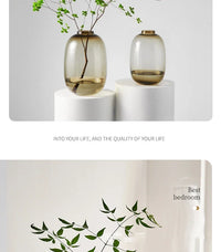 Transparent Glass Vase, Office Decor, Large Capacity Hydroponic Flower Pot, Vase, Bedroom Aesthetic Decor, Home Decor