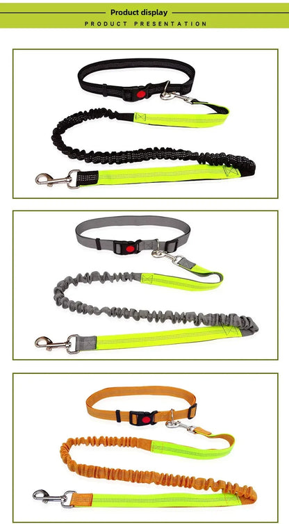 Hand Free Dog Leash for Pet Walking  Dog Accessories Running Jogging Adjustable Dog leash Waist Belt Chest Strap Traction Rope