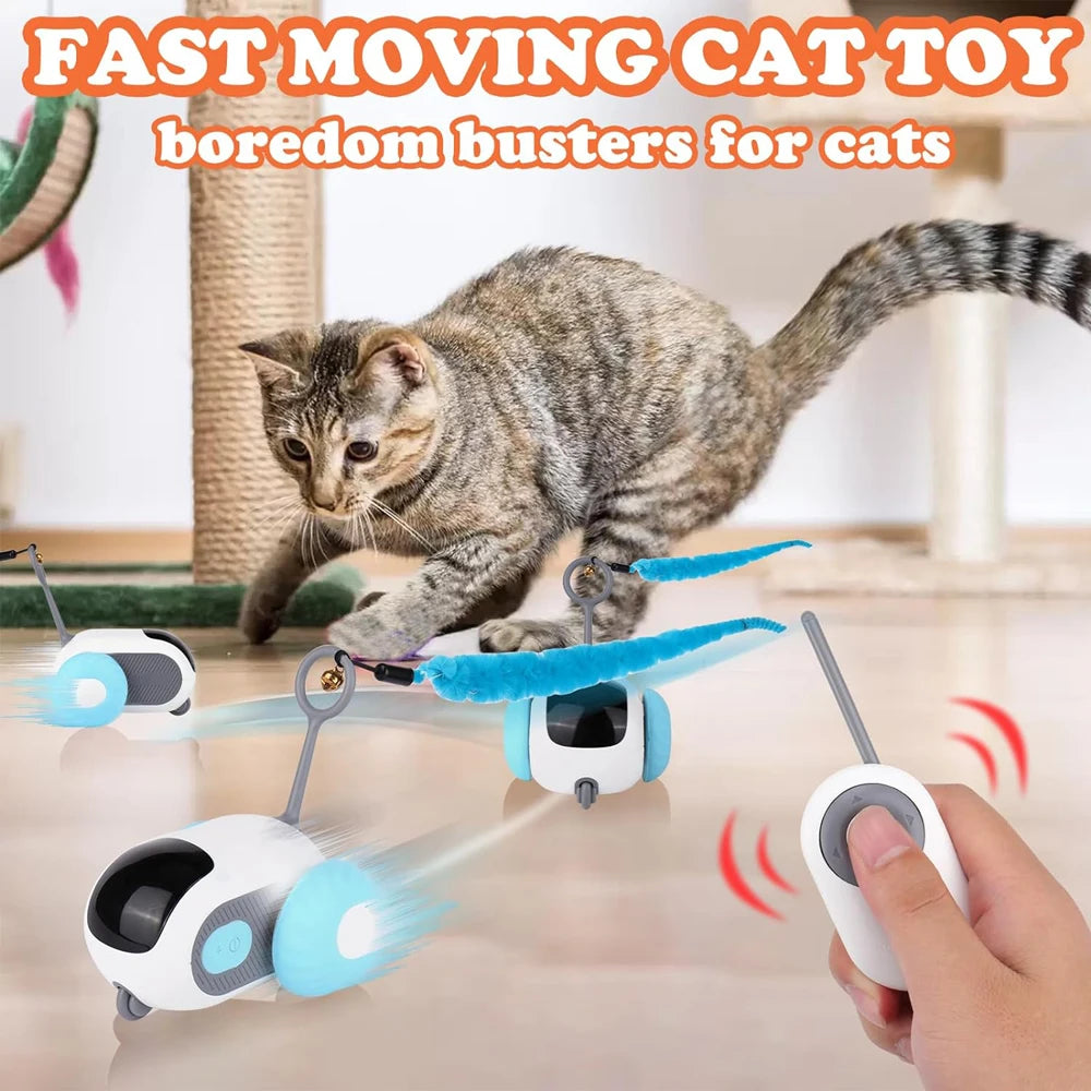 2-in-1 Smart Remote Control Cat Toy Car