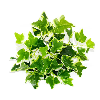 Artificial Plants Bonsai Fake Small Green Plant Plastic Simulation Grass Hotel Office Decoration Greening Wedding Floral No Pot