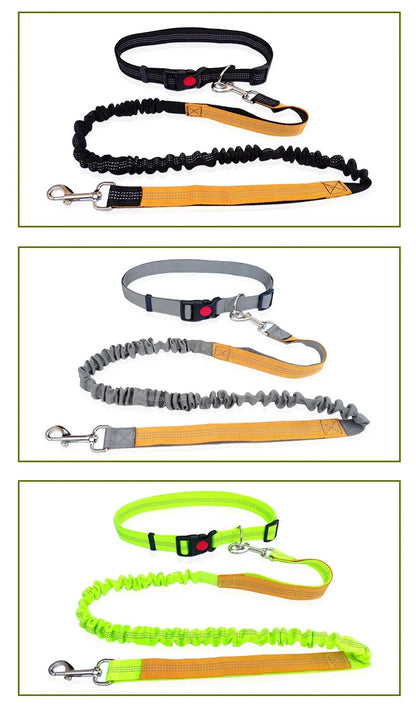 Hand Free Dog Leash for Pet Walking  Dog Accessories Running Jogging Adjustable Dog leash Waist Belt Chest Strap Traction Rope
