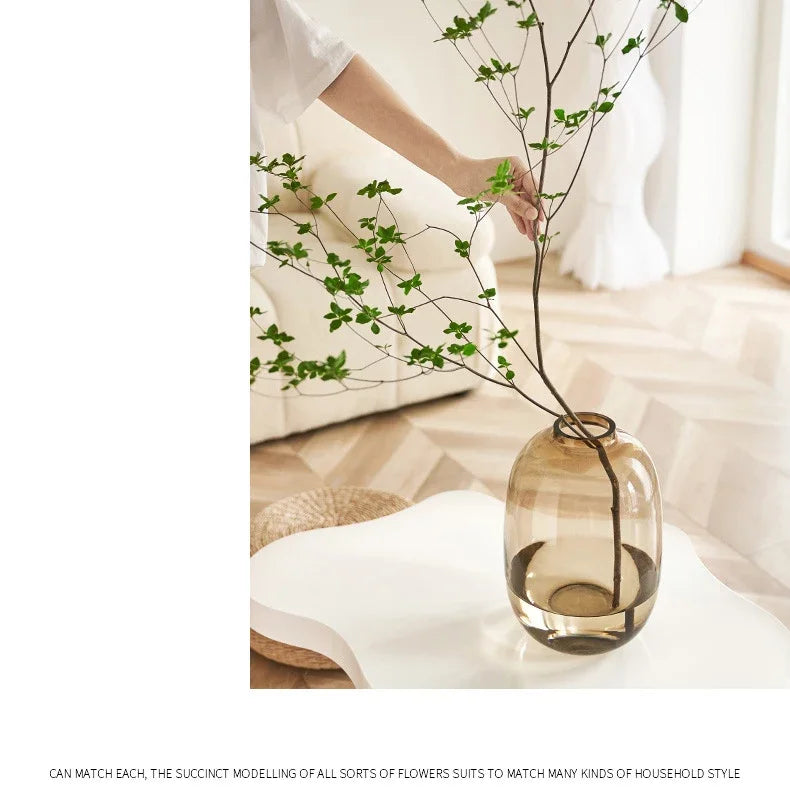 Transparent Glass Vase, Office Decor, Large Capacity Hydroponic Flower Pot, Vase, Bedroom Aesthetic Decor, Home Decor