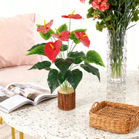 Artificial Plants 18 Head Anthurium Home Room Outdoor Garden Landscape Layout Festival Wedding Decora Potted Plant Photography