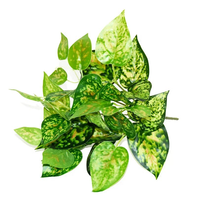 Artificial Plants Bonsai Fake Small Green Plant Plastic Simulation Grass Hotel Office Decoration Greening Wedding Floral No Pot