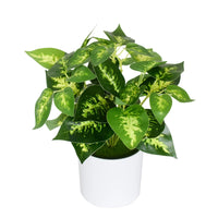 Artificial Plants Bonsai Fake Small Green Plant Plastic Simulation Grass Hotel Office Decoration Greening Wedding Floral No Pot