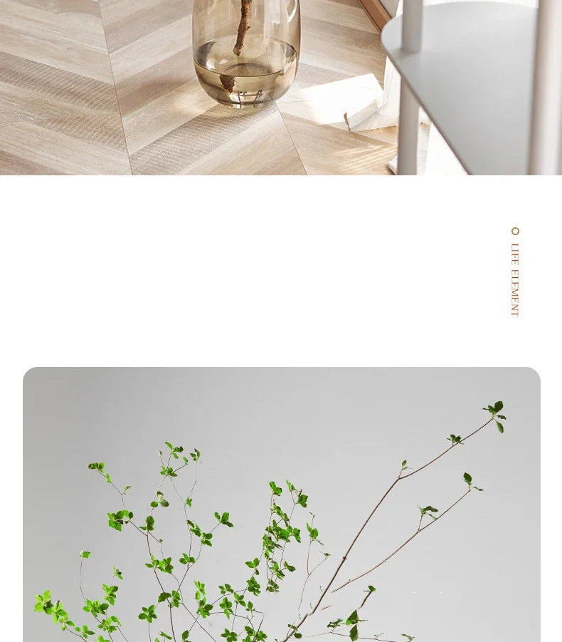 Transparent Glass Vase, Office Decor, Large Capacity Hydroponic Flower Pot, Vase, Bedroom Aesthetic Decor, Home Decor