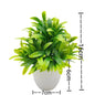 1pc Artificial Plants with Plastics Pots Perfect Greenery for Home DecorationsOffice Desk Living Room and Bedroom Decoration